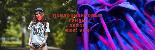 a pvp Балахна