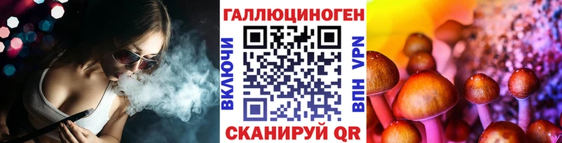 mega сайт Вятские Поляны Псилоцибиновые грибы Psilocybe