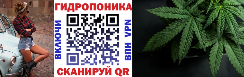 продажа наркотиков  Вятские Поляны  сайты даркнета официальный сайт  Шишки марихуана Ganja 